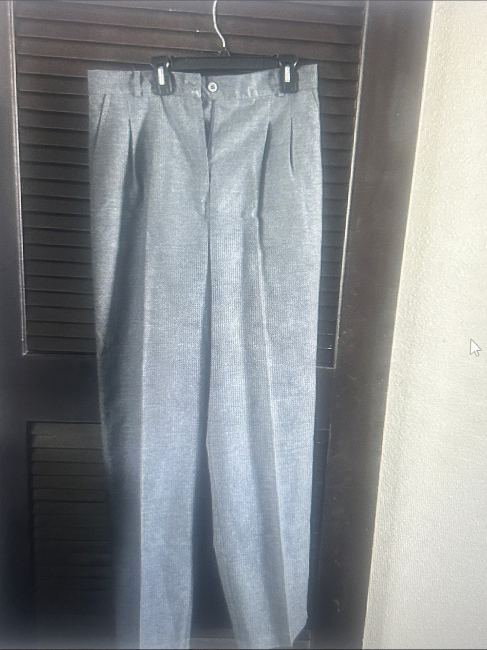 Forte Women's Gray Pleated Dress Pants